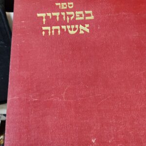 בפקודיך אשיחה על התורה